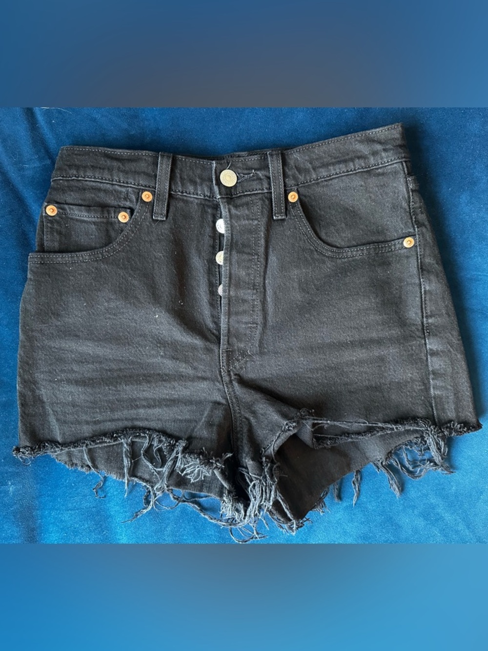 Ribcage Signature by Levi Strauss Black Distressed Denim Shorts